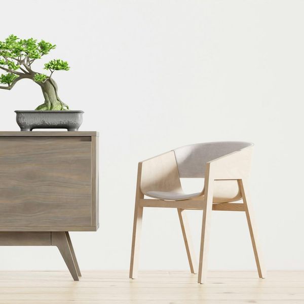 Minimalist and peaceful room interior with soft lighting and plants.